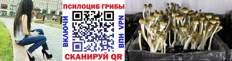 Галлюциногенные грибы ЛСД  Усть-Джегута 